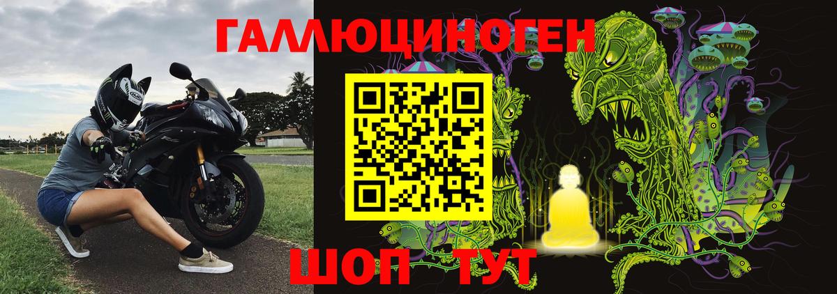 Ейск  Псилоцибиновые грибы Psilocybine cubensis  Вход с VPN 