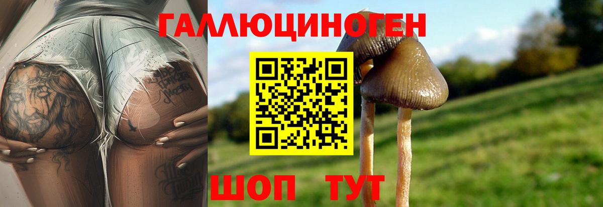 Галлюциногенные грибы ЛСД Ейск